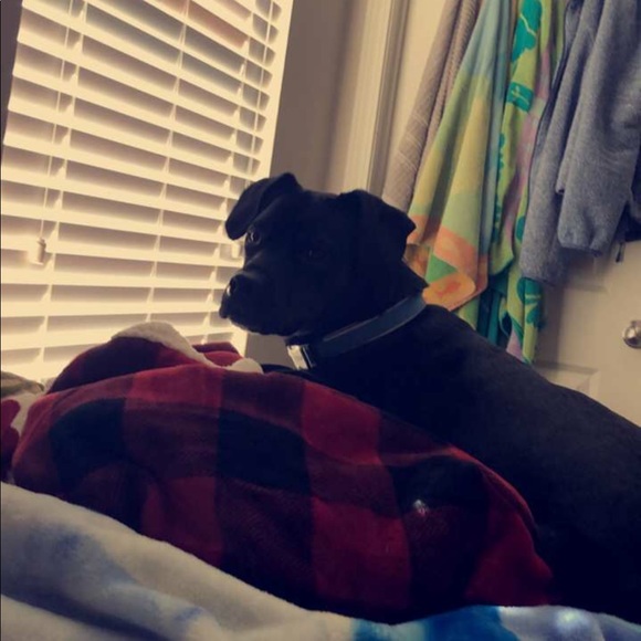 Meet your Posher, Taylor - Picture 4 of 4